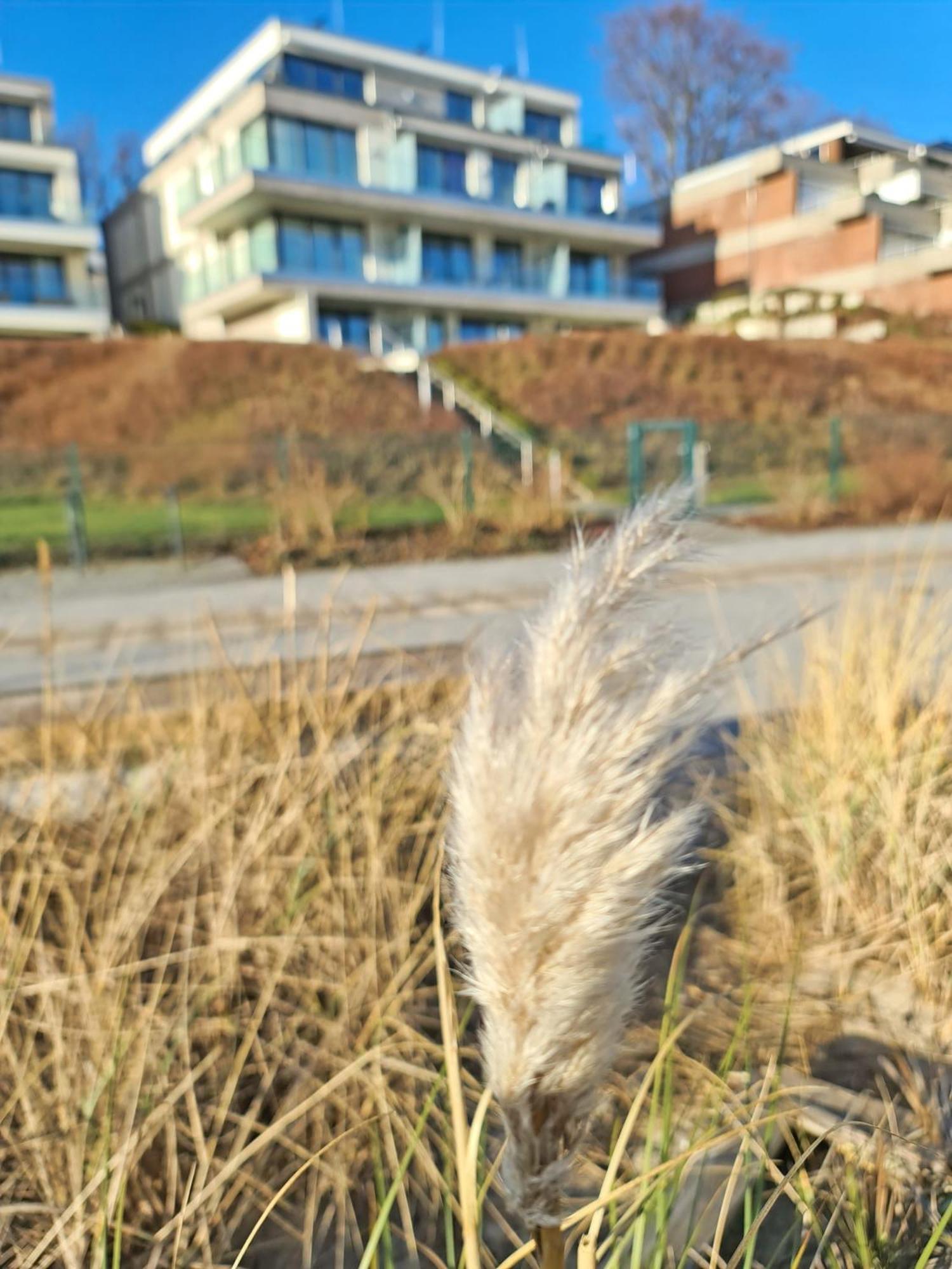Apartamento Am Hohen Ufer Whg 5 Grömitz Exterior foto